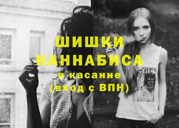 стафф Туринск